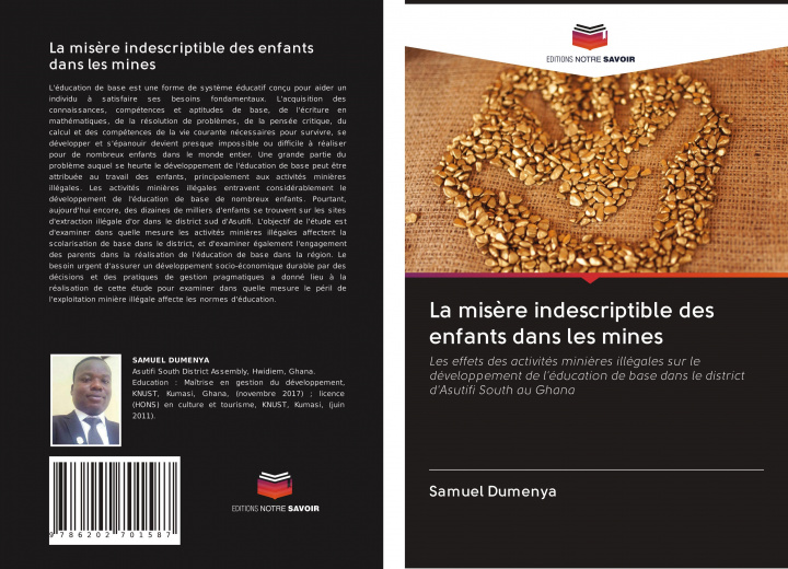 Buch La mis?re indescriptible des enfants dans les mines 