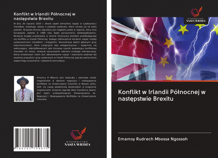 Buch Konflikt w Irlandii Pó?nocnej w nast?pstwie Brexitu 
