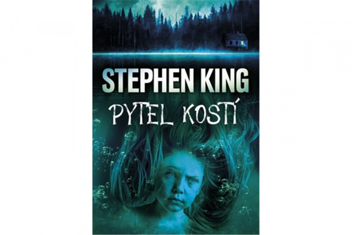 Book Pytel kostí Stephen King