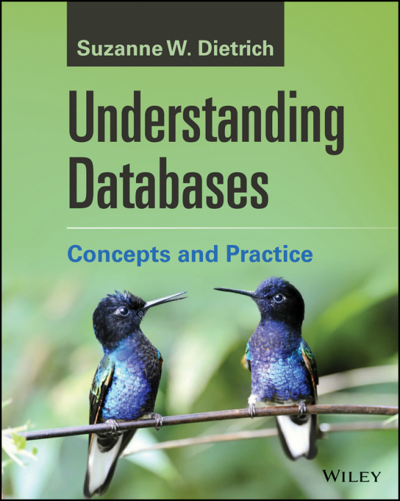 Knjiga Understanding Databases – Concepts and Practice, 1st Edition Suzanne W. Dietrich