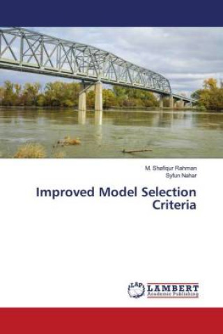 Knjiga Improved Model Selection Criteria Syfun Nahar