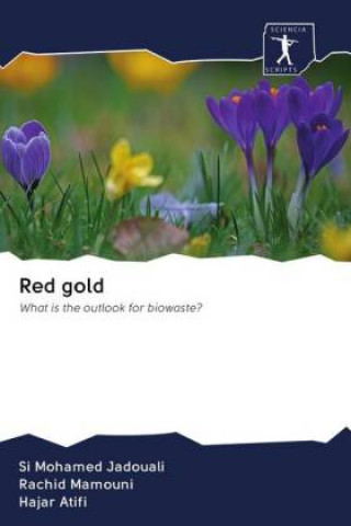 Libro Red gold Rachid Mamouni