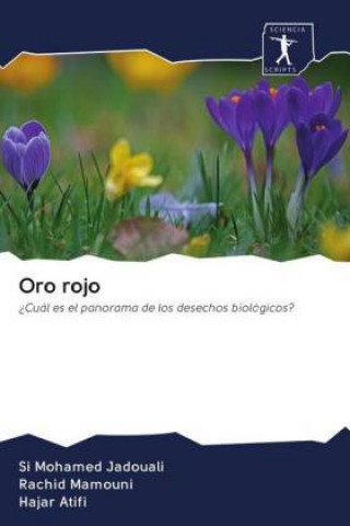 Buch Oro rojo Rachid Mamouni