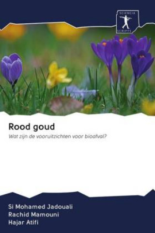 Buch Rood goud Rachid Mamouni