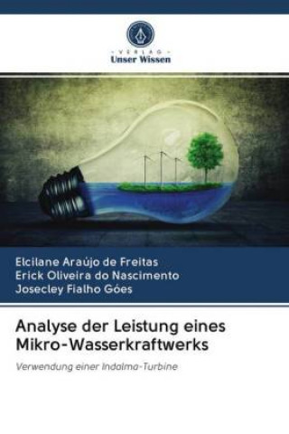 Βιβλίο Analyse der Leistung eines Mikro-Wasserkraftwerks Erick Oliveira do Nascimento