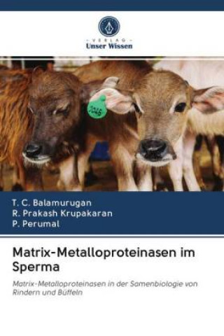 Kniha Matrix-Metalloproteinasen im Sperma R. Prakash Krupakaran