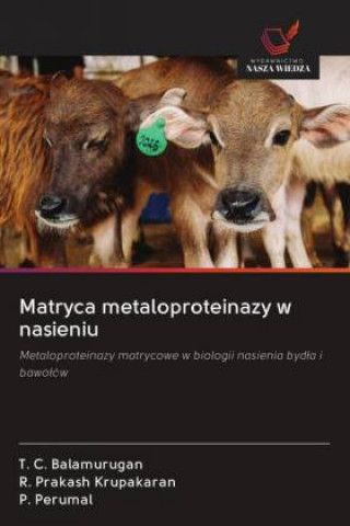 Kniha Matryca metaloproteinazy w nasieniu R. Prakash Krupakaran