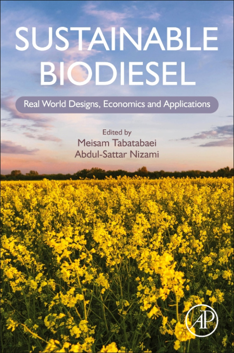 Kniha Sustainable Biodiesel Meisam Tabatabaei