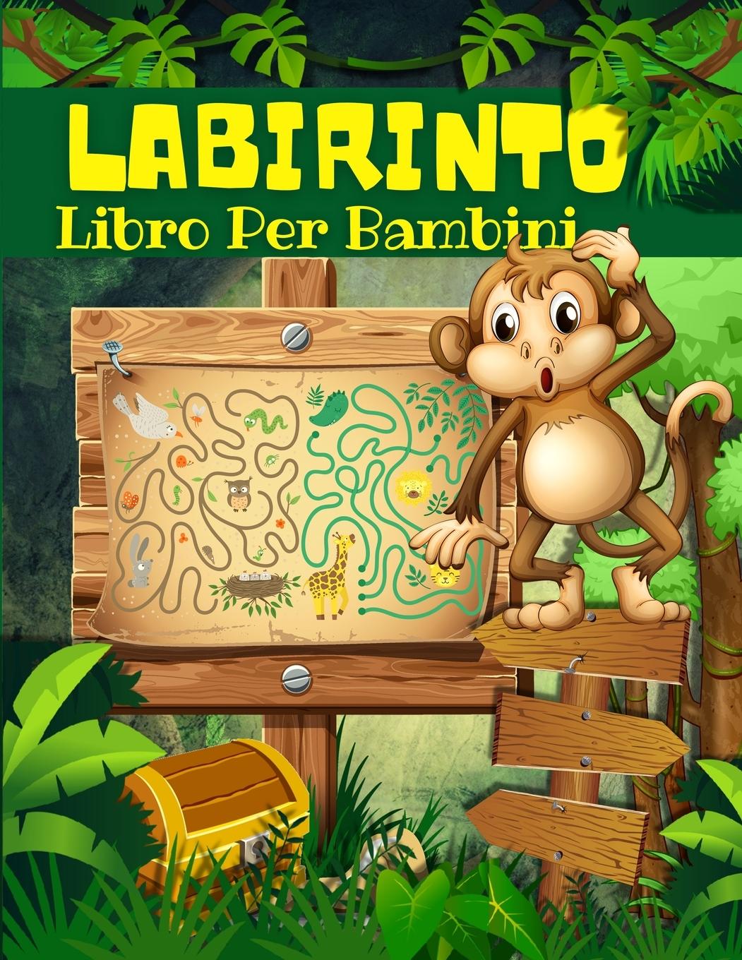 Kniha Livre De Labyrinthe Pour Enfants, Garcons Et Filles 