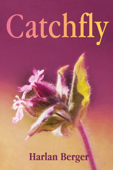 Knjiga Catchfly Harlan Berger