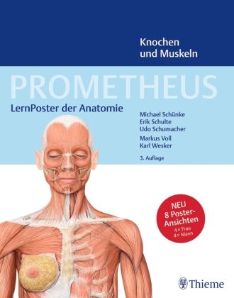 Nyomtatványok PROMETHEUS LernPoster der Anatomie, Knochen und Muskeln Erik Schulte