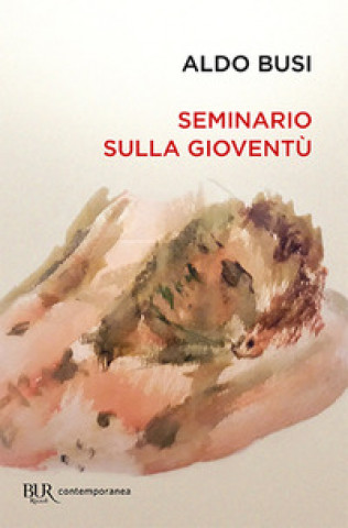 Livre Seminario sulla gioventu' Aldo Busi