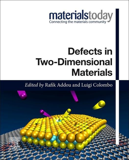 Knjiga Defects in Two-Dimensional Materials Rafik Addou