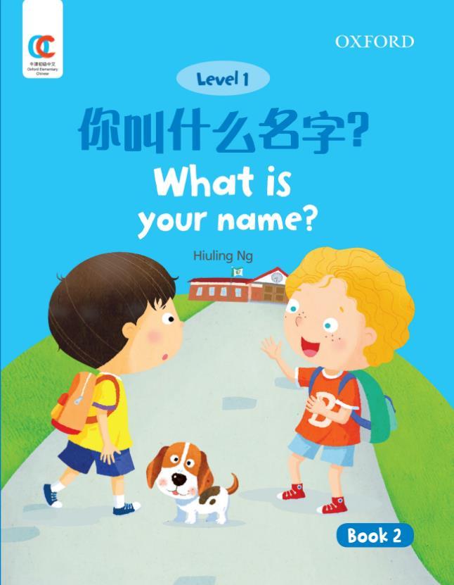 Boek What is Your Name Hiuling Ng