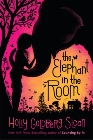 Book Elephant in the Room 