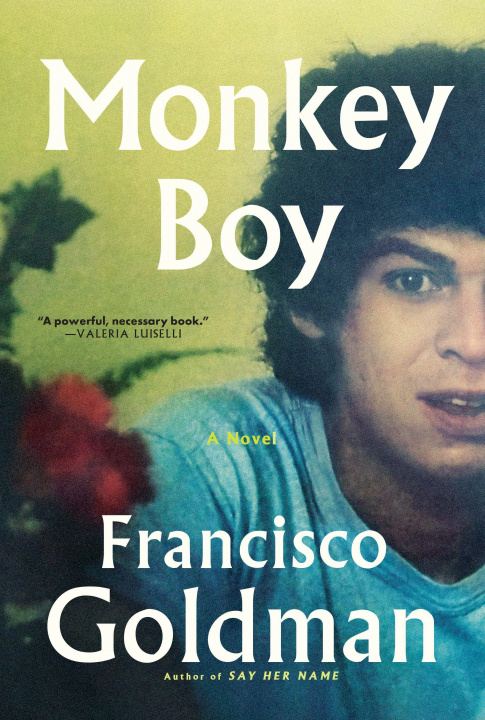 Βιβλίο Monkey Boy Francisco Goldman