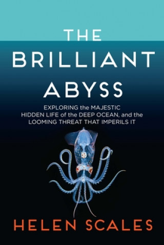 Knjiga The Brilliant Abyss: Exploring the Majestic Hidden Life of the Deep Ocean, and the Looming Threat That Imperils It 