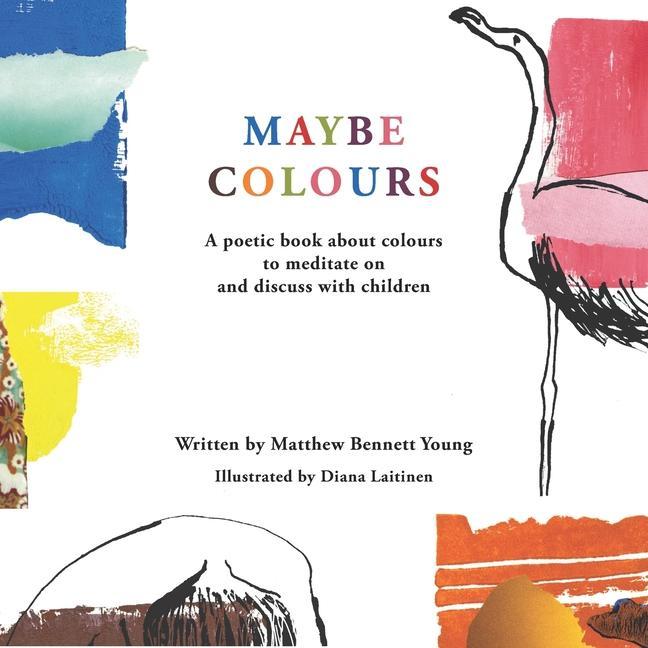 Knjiga Maybe Colours Diana Laitinen