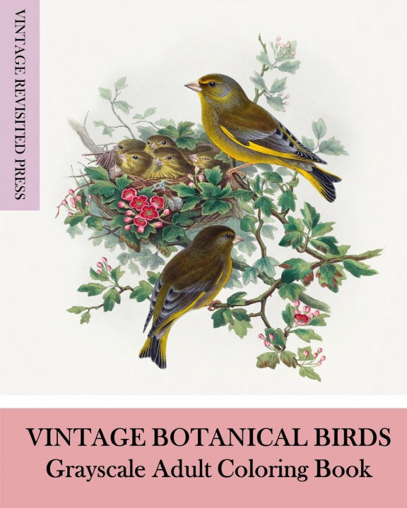 Książka Vintage Botanical Birds VINTAGE REVIS PRESS