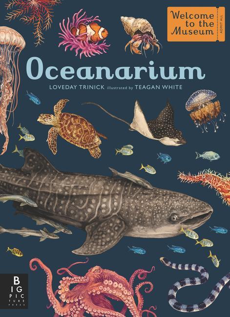 Könyv Oceanarium: Welcome to the Museum Teagan White