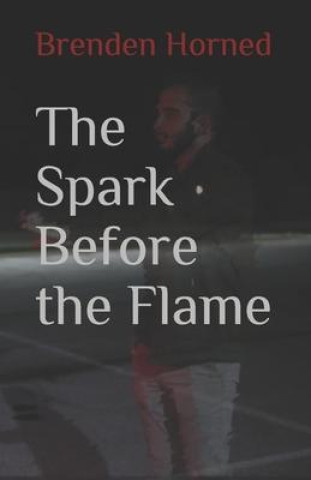 Boek Spark Before the Flame Brenden Horned