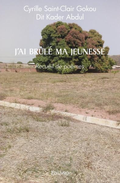 Carte J'ai brûlé ma jeunesse SAINT-CLAIR GOKOU  D