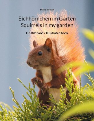 Carte Eichhoernchen im Garten / Squirrels in my garden 