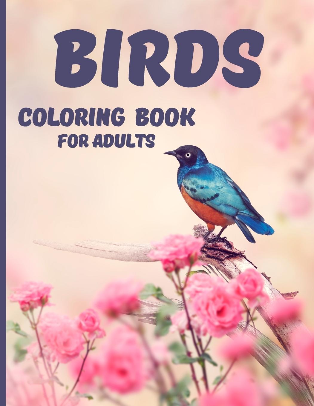 Knjiga Birds Coloring Book Cecilia Hutchinson