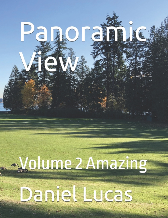 Knjiga Panoramic View Lucas Daniel Lucas