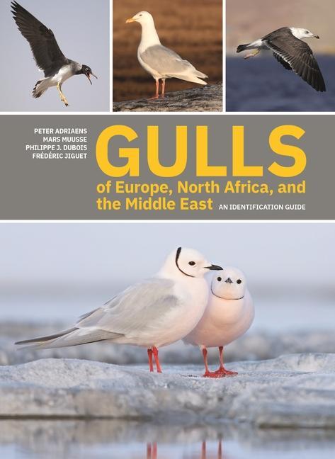 Kniha Gulls of Europe, North Africa, and the Middle East Peter Adriaens