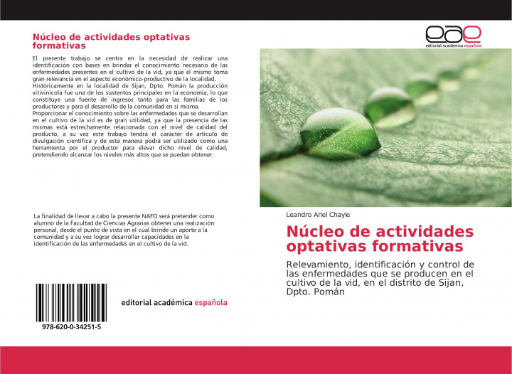 Carte Núcleo de actividades optativas formativas 