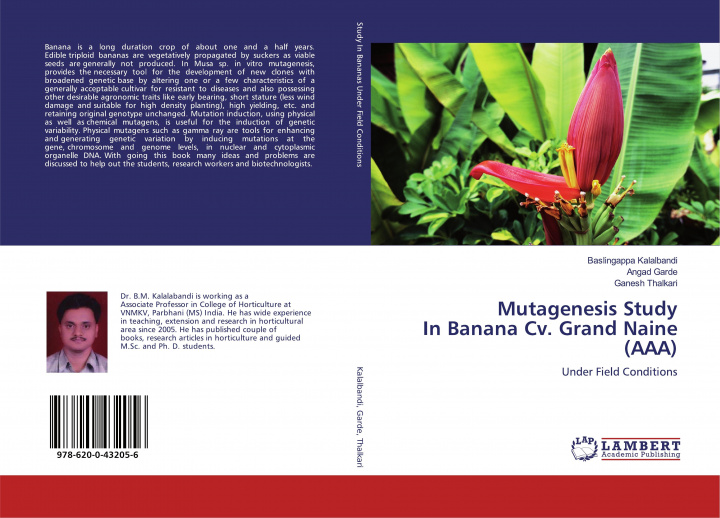 Kniha Mutagenesis Study In Banana Cv. Grand Naine (AAA) Angad Garde