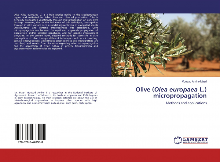 Libro Olive (Olea europaea L.) micropropagation 