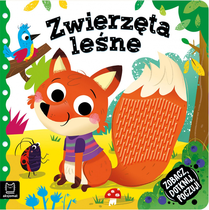 Book Zwierzęta leśne. Zobacz, dotknij, poczuj! Książeczka sensoryczna Grażyna Wasilewicz