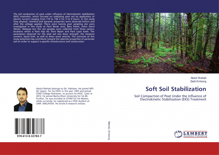 Knjiga Soft Soil Stabilization Zaidi Embong
