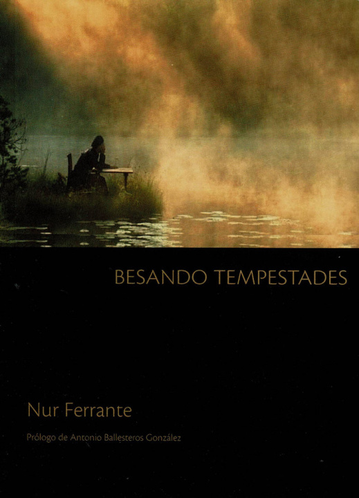 Kniha Besando tempestades Ferrante