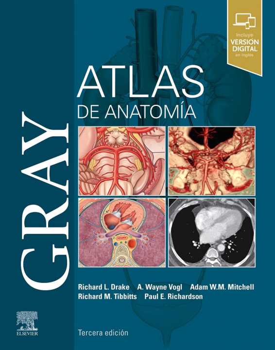 Könyv GRAY. ATLAS DE ANATOMIA (3ª ED.) 