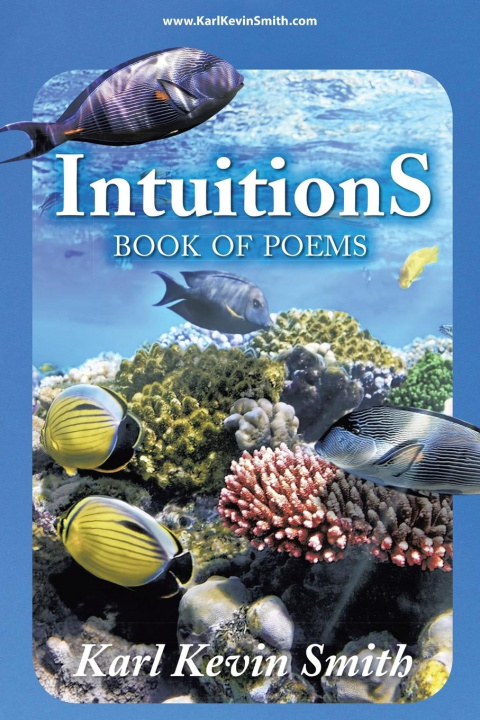 Knjiga Intuitions Karl Kevin Smith