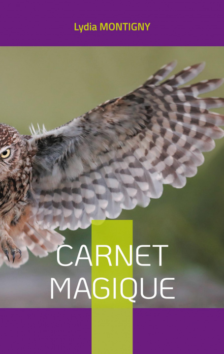 Kniha Carnet magique Lydia Montigny