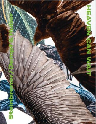 Livro Heaven Can Wait Nora Pierer