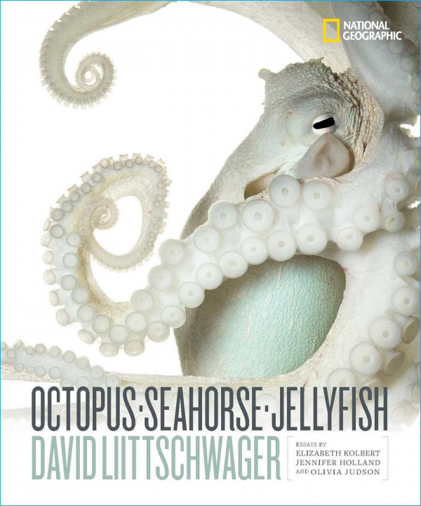 Book Octopus, Seahorse, Jellyfish 