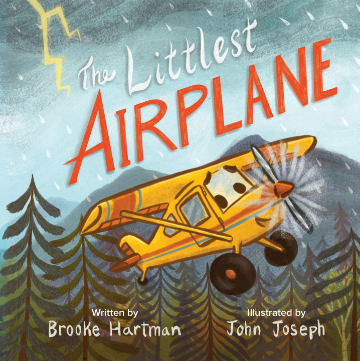 Knjiga Littlest Airplane John Joseph