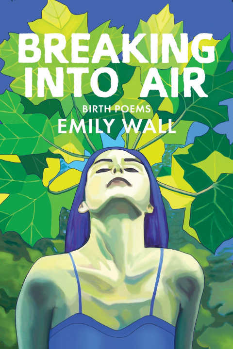 Book Breaking into Air Emily Wall