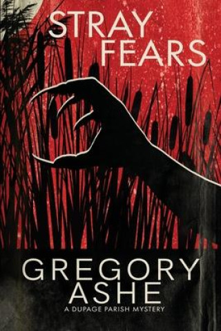 Boek Stray Fears Gregory Ashe