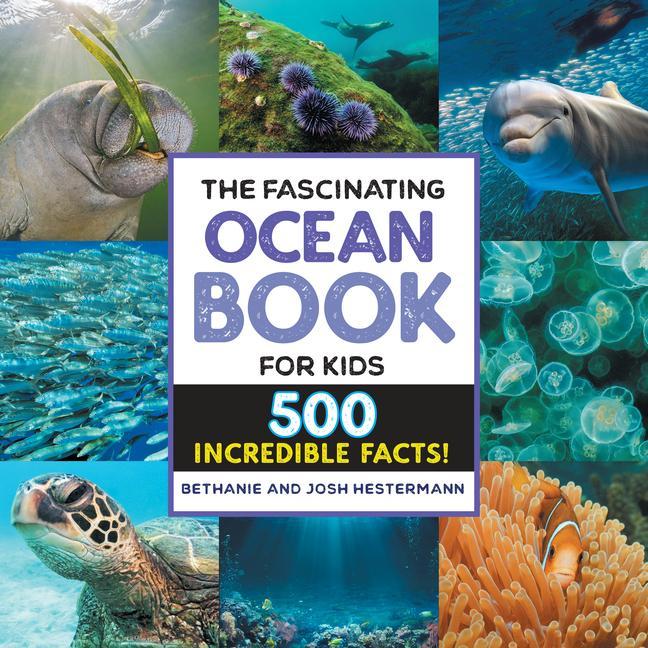 Carte The Fascinating Ocean Book for Kids: 500 Incredible Facts! Josh Hestermann