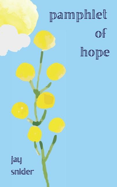Knjiga Pamphlet of Hope Tenesha L. Curtis