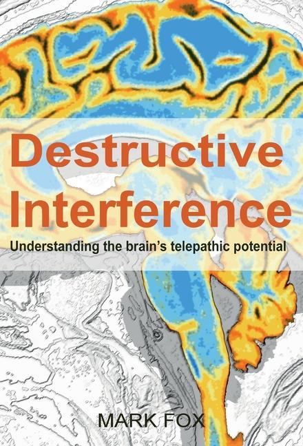 Knjiga Destructive Interference Mark Fox
