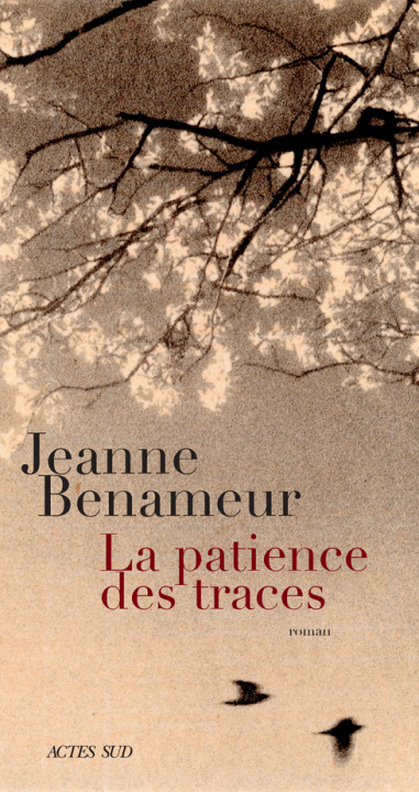 Kniha La Patience des traces Benameur