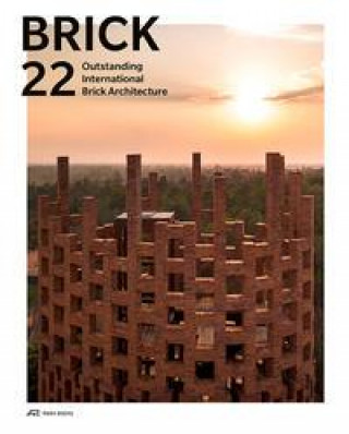 Книга Brick 22 