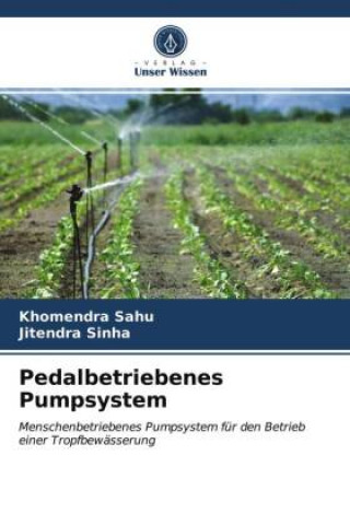 Kniha Pedalbetriebenes Pumpsystem Jitendra Sinha